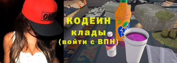 ГАЛЛЮЦИНОГЕННЫЕ ГРИБЫ Алзамай