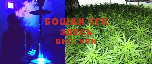 гидра Алексеевка
