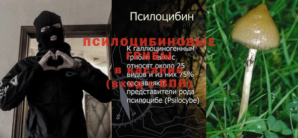 ГАЛЛЮЦИНОГЕННЫЕ ГРИБЫ Алзамай