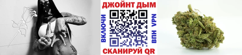 Марихуана план  Усть-Лабинск 